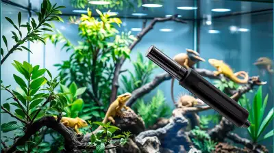 Terrariumscheiben effektiv reinigen