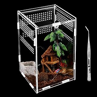 Reptilien Terrarium Box, Transparente Fütterungsbox Acryl, 20*12*12cm Reptil Fütterungsbox, Rep…
