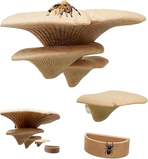 Springspinnen Terrarium Deko,Magnetisches Natürliches Pilz Spielzeug Mit Wassernapf,Springspinne…