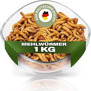 Mehlwürmer 1 kg, lebend, frisch, Vogelfutter, Fischfutter, Igelfutter, Reptilienfutter (Futterin…