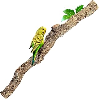 XL Kork-AST | 100 cm lang | AST von der Korkeiche/Korkbaum | Naturkork-Rinde als Terrariumausstat…