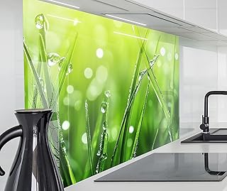 timalo Küchenrückwand Glasoptik | 80 x 50 cm Grünes Gras Wiese Tautropfen Natur | Acryl Glas 2…