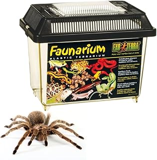 Exo Terra Faunarium, Allzweckbehälter für Reptilien, Amphibien, Mäuse und Insekten, klein 23 x…