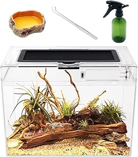 Reptile Growth Mini Terrarium Komplettset, 12″ x 7″x 9″ Faunarium für,Schnecken,Insekten,Wassers…