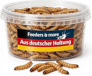 500g | Mehlwürmer lebend | hochwertige Futterinsekten | proteinreich & aktiv | ideal für Reptil…