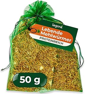 Legona Mehlwürmer lebend 50 g – Futterinsekten für Terrariumtiere und Hühner – Tenebrio Molito…