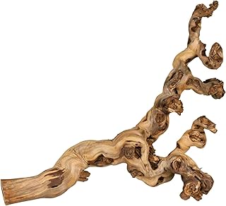 TRIXIE wassergestrahlte Weinrebe – ideal zum Klettern – Reptilien, Vögel, Kaninchen und Kleinnag…