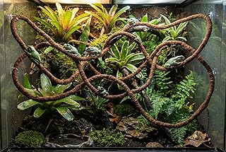 Natureholic Flexible Liane 200 cm mit Kokosfasern – Ideale Klettermöglichkeit für Reptilien