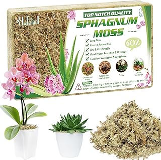 Halatoo 170g Sphagnum Moos für Pflanzen，Natürliches Torfmoos Langfaser，Moos für Orchideen …