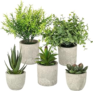 CRESZZLE 5 Stück Mini Künstliche Pflanzen wie echt, realistische Fake Plant Sukkulenten Set –…