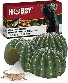Hobby Terraristik Cactus Home 1 I Dekorative Versteckhöhle I 22,5 × 22 × 10 cm I Realistische …