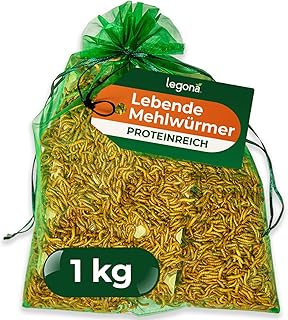 Legona Mehlwürmer lebend 1 kg – Futterinsekten für Terrariumtiere und Hühner – Tenebrio Molito…