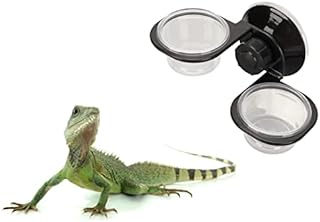 Reptilienfutter Wassernapf Crested Gecko Feeding Ledge Reptilienfutter und Wasserbecher für Klei…