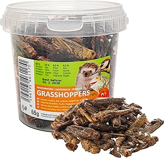 UGF – Getrocknete Heuschrecken – 65g im 500 Milliliter Eimer, Heuschrecken Insekten, Reptilienfut…