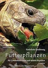 Futterpflanzen: Natürliche Ernährung für Landschildkröten und andere Reptilien