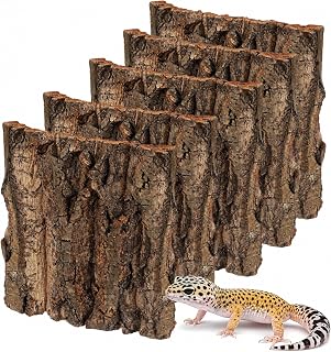 5 Stück Korkrinde Rückwand Terrarium Natürliche Baumrindenoptik Terrarium | Rückwand Kletterw…