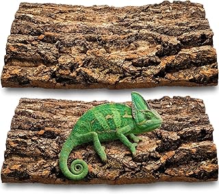 Veemoon Korkrinde Rückwand Für Terrarium – Hintergrundplatte Reptilienbecken 30*20CM 2 Stück N…