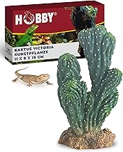 HOBBY Terraristik Kaktus Victoria 1 I 19 cm I Dekorative Terrarienpflanze I Realistische Wüstenp…