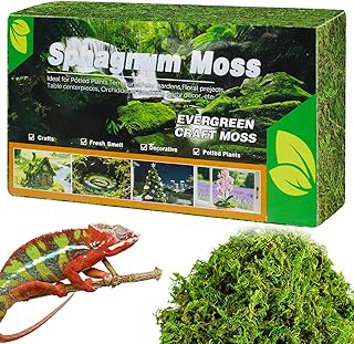 OMJMYY 300g Sphagnum Moos Reptilien Moos Sphagnum Moos Pflanzen Natürliche Premium Sphagnum Moss…