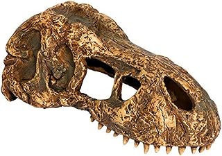 Exo Terra T-Rex-Schädel, sicheres Versteck für Reptilien und Amphibien, klein, 1 Stück (1er Pack)