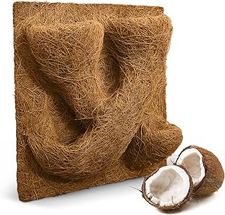 ProFlora® Terrarium Rückwand mit Pflanztaschen 30×30 cm – Kokosmatte/Kokosfasermatte aus 100%…