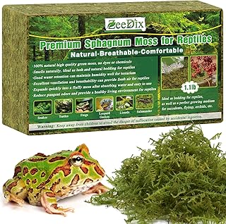 ZeeDix 500g Natürlich Terrarienmoos für Terrarium, Moos für Geckos Echsen Schlangen Schildkrö…