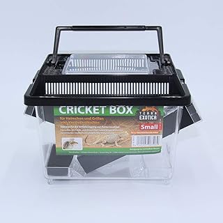 Terra Exotica Cricket Box – in Small oder Large – Transportbox für Reptilien – Fauna Box für He…