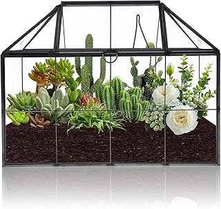 Homtone Terrarium Pflanzgefäß Großer Geometrischer 23 cm, Terrarium Pflanzen Hausform, Schwarz…