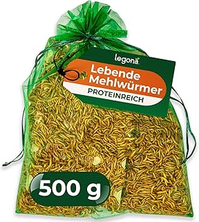 Legona Lebende Mehlwürmer, 500 g Futterinsekten für Reptilien und Hühner | Lebendfutter aus Te…