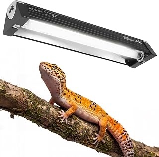 8W Reptilien T5 HO UVB 5.0 Leuchte 31,8 cm mit Röhre, UVB-Leuchte mit niedriger bis mittlerer In…