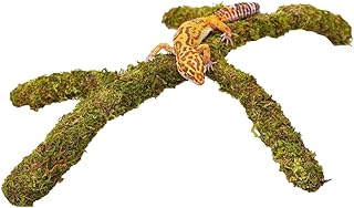 Verstellbare Moos-Kletterstange für Leopardgeckos – Natürliches Reptilien Kletterspielzeug, T…