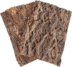 BESTonZON Korkrinde fürs Terrarium, 2 Stück, 30 x 20 cm, für Reptilien | Natürliche Versteck-…