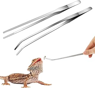 2 Stück Lange Pinzette Set, 27cm Gerade Pinzette Und Gebogene et Lang,Reptilien Zubehör Futterp…