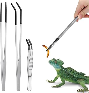 SHENLIU 3 Stück Aquarium Pinzette Lang Edelstahl Futterpinzette 27 cm | Futterzange mit Kurze Fu…