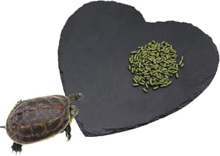 Reptilien Sonnenplattform – 20 × 20 cm Herzförmige Futter- und Liegeplatte aus Naturstein, Fr…