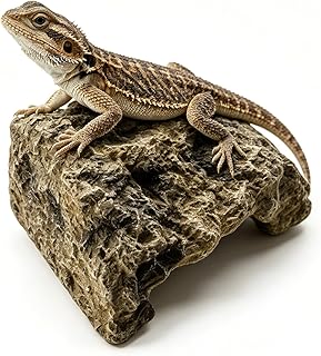 108 Stück Reptilien Kunstharz Reptilien Versteck Terrarium Habitat | Dekor Höhle Ornament Fisch…