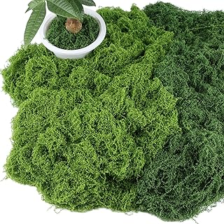 Deko Moos 200g, Kunstmoos, Moos zum Basteln, Bastelmoos | Islandmoos, Naturgetreu, Künstliches M…