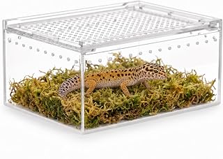 CATELL Acryl Terrarium 20 x 15 x 10 cm Reptil Fütterungsbox Stapelbares | Mini Terrarium aus Acr…