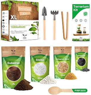 Kit Terrario Plantas DIY – Set Ecosistema Cerrado Plantas para Jardin en Botella – Kit Terrario p…