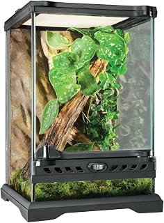 Exo Terra Terrarium aus Glas, mit einzigartiger Front Belüftung, 20 x 20 x 30cm