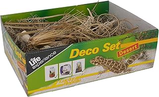 Lucky Reptile Life Experience Deco Set Wüste, Dekoartikel für Terrarien, 1 Stück (1er Pack)