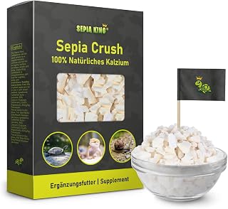 Sepia King – Sepiaschalen Bruch in Premium Qualität – Kalzium für Schildkröten, Bartagame, Gec…