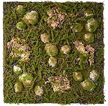 REPITERRA Terrarium Rückwände unterschiedliche Design Wald klein