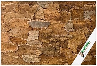 XL Korkrückwand Desert (Rückwand Terrarium) | 3D Kork-Rückwand 60 x 30 cm | gereinigt & desinf…