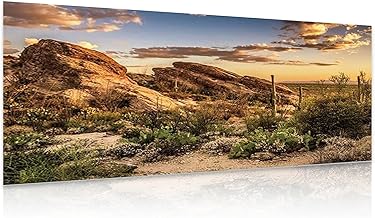 Terrarium Rückwand,Hintergrund Poster,3D Terrarium Rückwand, Wüstenlandschaft mit Kakteen, 120…