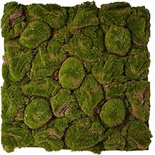 REPITERRA Terrarium Rückwände unterschiedliche Design Moos klein