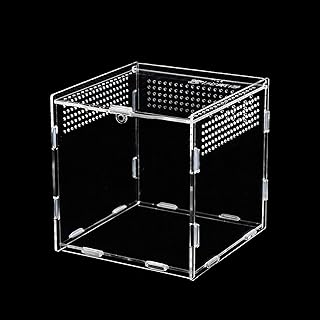 Reptile Fütterungsbox, Tragbares Reptil Fütterungsbox Insect Feeding Box Transparent Reptil Zuc…