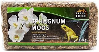 Terra Exotica Fauna Box in 5 Größen (mini, small, medium, Large & extra Large) Transportbox/Qua…