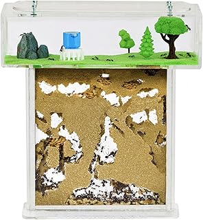 AntHouse – Natürliche Ameisenfarm aus Sand | Acryl T Kit 15x15x1,5cm | Inklusive Ameisen