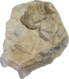 Quellschale Fulda Quelle gross mit Spritzschutz, Beige/Braun, 60 x 41 x 8 cm